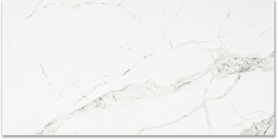 Polished Love 24X48 |  Carpet Barn Carpet One Inc.