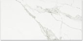 Polished Love 24X48 |  Carpet Barn Carpet One Inc.