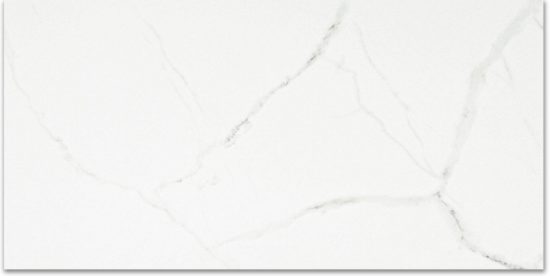 Polished Love 24X48 |  Carpet Barn Carpet One Inc.