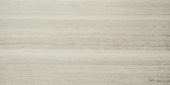 Polished Passion 16X32 |  Carpet Barn Carpet One Inc.