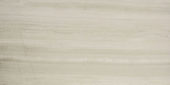 Polished Passion 24X48 |  Carpet Barn Carpet One Inc.