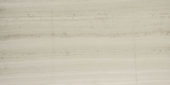 Polished Passion 24X48 |  Carpet Barn Carpet One Inc.
