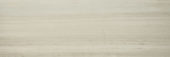 Polished Passion 4X12 |  Carpet Barn Carpet One Inc.