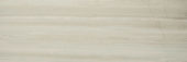 Polished Passion 4X12 |  Carpet Barn Carpet One Inc.