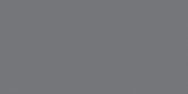 Polished Tokyo 12X24 |  Carpet Barn Carpet One Inc.