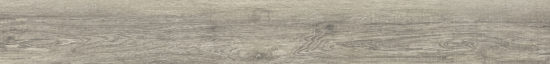 Provincial 7.76"x60" |  Carpet Barn Carpet One Inc.