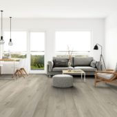 Provincial 7.76"x60" |  Carpet Barn Carpet One Inc.