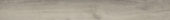 Provincial 7.76"x60" |  Carpet Barn Carpet One Inc.
