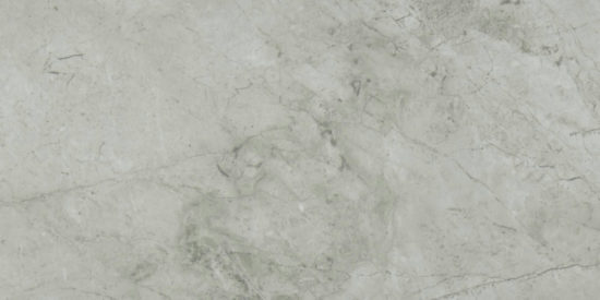 Roma Argento Polished 12X24 |  Carpet Barn Carpet One Inc.