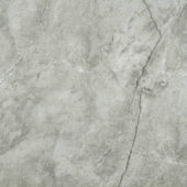 Roma Argento Polished 24X24 |  Carpet Barn Carpet One Inc.