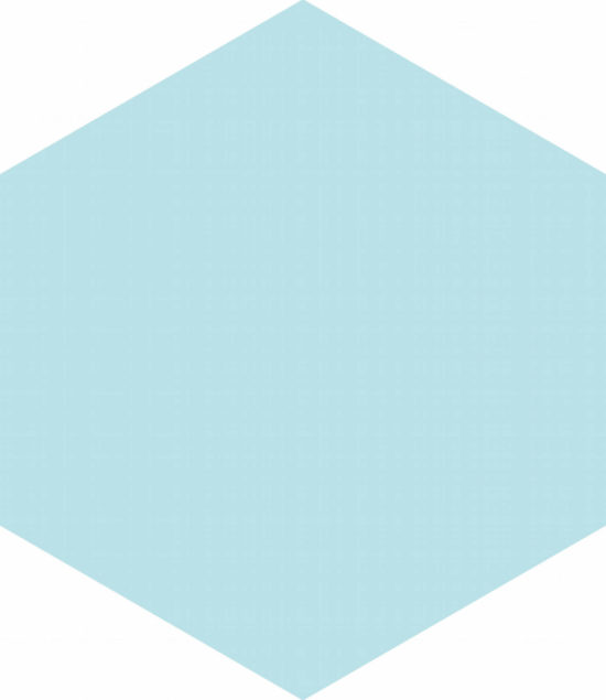 Ronda 5.5X6.3” Aqua Hexagon |  Carpet Barn Carpet One Inc.