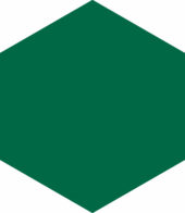 Ronda 5.5X6.3” Green Hexagon |  Carpet Barn Carpet One Inc.