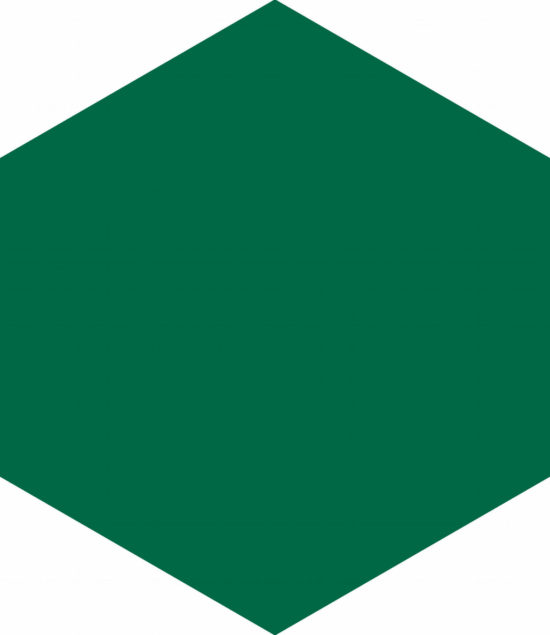 Ronda 5.5X6.3” Green Hexagon |  Carpet Barn Carpet One Inc.