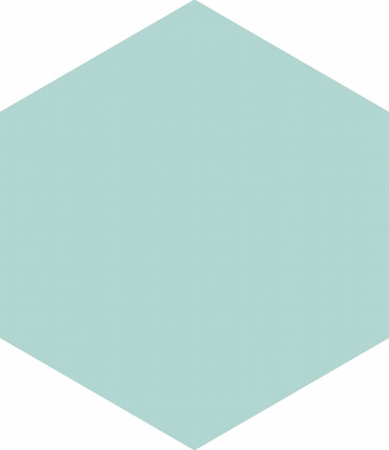 Ronda 5.5X6.3” Mint Hexagon |  Carpet Barn Carpet One Inc.