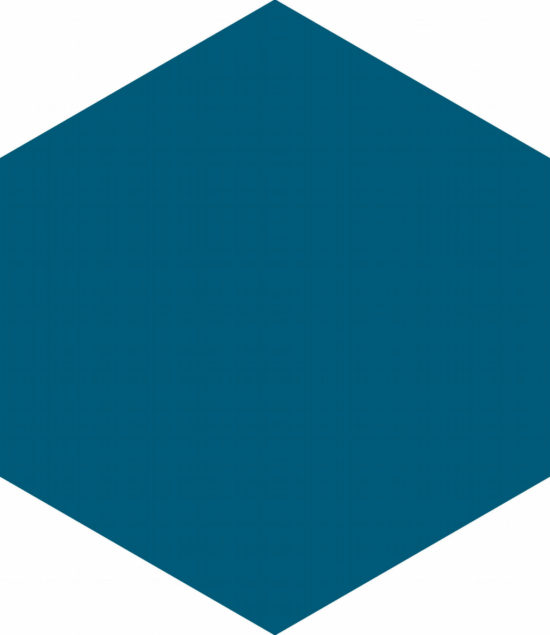 Ronda 5.5X6.3” Navy Blue Hexagon |  Carpet Barn Carpet One Inc.