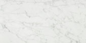 San Giulio Gioia Honed 24X48 |  Carpet Barn Carpet One Inc.