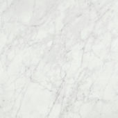 San Giulio Gioia Polished 24X24 |  Carpet Barn Carpet One Inc.