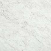 San Giulio Gioia Polished 24X24 |  Carpet Barn Carpet One Inc.