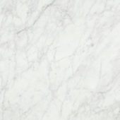 San Giulio Gioia Polished 24X24 |  Carpet Barn Carpet One Inc.