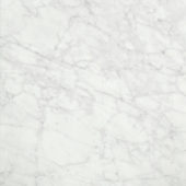 San Giulio Gioia Polished 24X24 |  Carpet Barn Carpet One Inc.