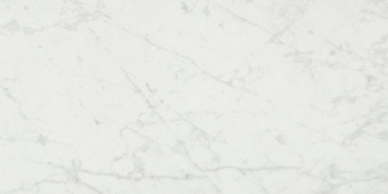 San Giulio Gioia Polished 24X48 |  Carpet Barn Carpet One Inc.
