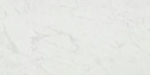 San Giulio Gioia Polished 24X48 |  Carpet Barn Carpet One Inc.