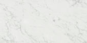 San Giulio Gioia Polished 24X48 |  Carpet Barn Carpet One Inc.