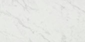 San Giulio Gioia Polished 24X48 |  Carpet Barn Carpet One Inc.