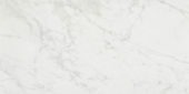 San Giulio Gioia Polished 24X48 |  Carpet Barn Carpet One Inc.