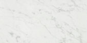 San Giulio Gioia Polished 24X48 |  Carpet Barn Carpet One Inc.
