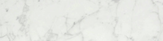 San Giulio Gioia Polished 3X12 Bullnose |  Carpet Barn Carpet One Inc.
