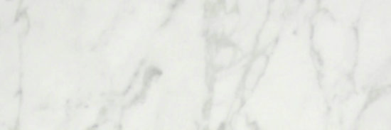 San Giulio Gioia Polished 4X12 |  Carpet Barn Carpet One Inc.