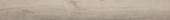 Sandstone 7.76"x60" |  Carpet Barn Carpet One Inc.
