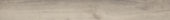 Sandstone 7.76"x60" |  Carpet Barn Carpet One Inc.