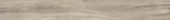 Sandstone 7.76"x60" |  Carpet Barn Carpet One Inc.