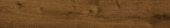 Savanah Oak Cedar |  Carpet Barn Carpet One Inc.
