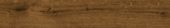 Savanah Oak Cedar |  Carpet Barn Carpet One Inc.