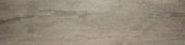 Silver Spruce 12X47 |  Carpet Barn Carpet One Inc.