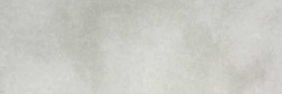 Sorrento Onyx Honed 4X12 |  Carpet Barn Carpet One Inc.