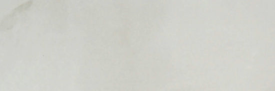 Sorrento Onyx Polished 4X12 |  Carpet Barn Carpet One Inc.