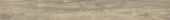Spice 7.76"x60" |  Carpet Barn Carpet One Inc.