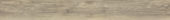 Spice 7.76"x60" |  Carpet Barn Carpet One Inc.
