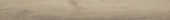 Spice 7.76"x60" |  Carpet Barn Carpet One Inc.