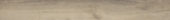 Spice 7.76"x60" |  Carpet Barn Carpet One Inc.