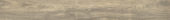 Spice 7.76"x60" |  Carpet Barn Carpet One Inc.