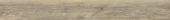Spice 7.76"x60" |  Carpet Barn Carpet One Inc.