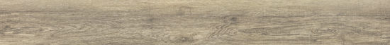 Spice 7.76"x60" |  Carpet Barn Carpet One Inc.