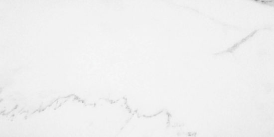 Statuario Venezia Honed 12X24 |  Carpet Barn Carpet One Inc.