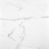 Statuario Venezia Honed 24X24 |  Carpet Barn Carpet One Inc.