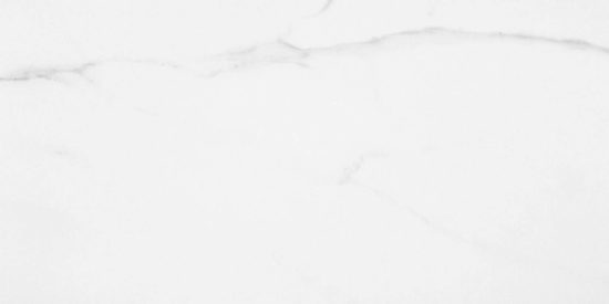 Statuario Venezia Honed 24X48 |  Carpet Barn Carpet One Inc.